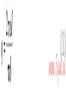 真空管太陽能集熱系統(tǒng)溫度場(chǎng)、速度場(chǎng)模擬