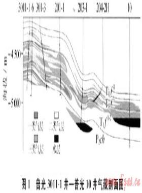 水平井優(yōu)化設(shè)計技術(shù)在普光氣田產(chǎn)能建設(shè)中的應(yīng)用