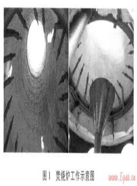 國(guó)產(chǎn)SGI-10型高含硫天然氣焚燒爐在普光D401-1井試氣中的應(yīng)用