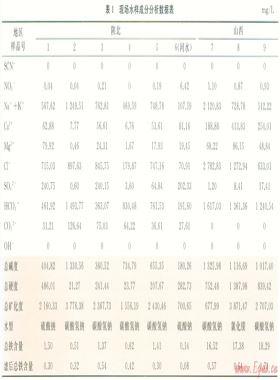 基于示蹤劑的煤層氣井分層產(chǎn)能測試技術(shù)