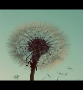 《無線遠(yuǎn)傳膜式燃?xì)獗怼烦墙?T503-2016全文