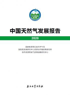 2020中國天然氣發(fā)展報告（含2017、2018、2019、2020）